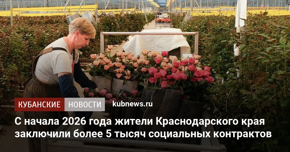 С начала 2026 года жители Краснодарского края заключили более 5 тысяч социальных контрактов