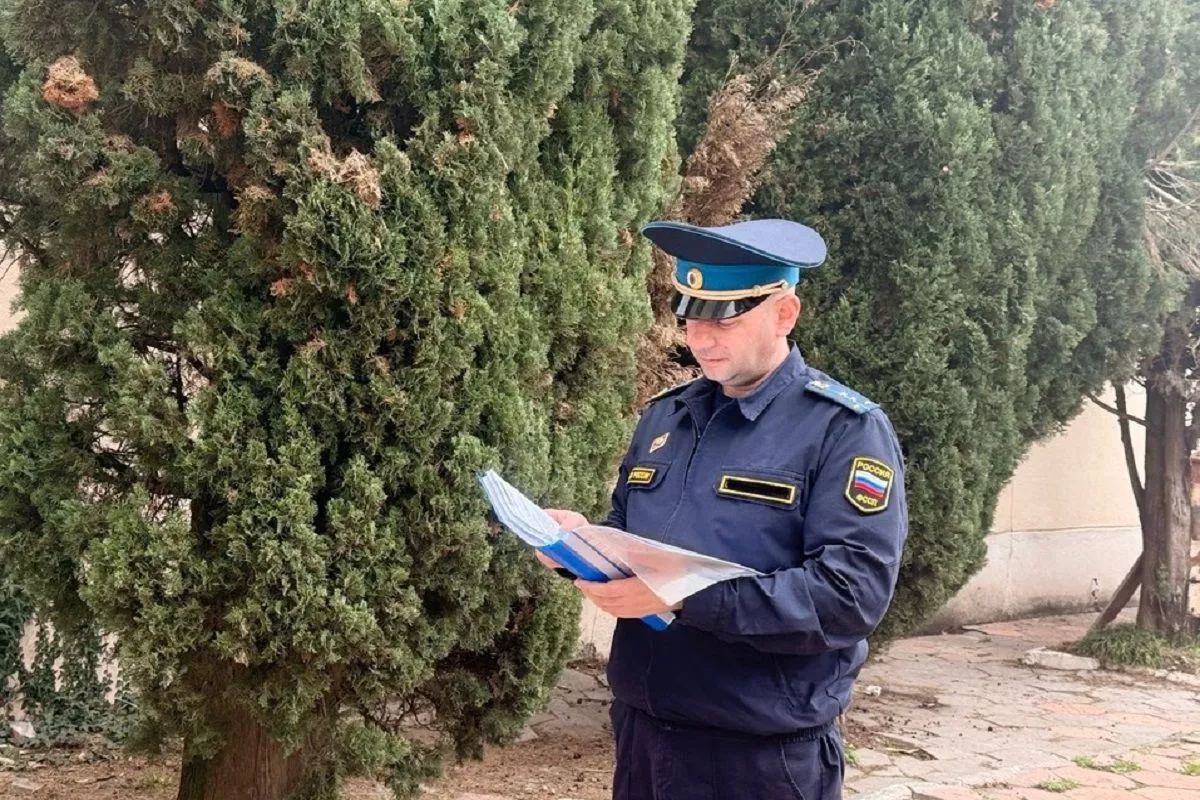 Сочинец снес трехэтажное здание в экологической зоне после 12 штрафов и запрета выезда за границу