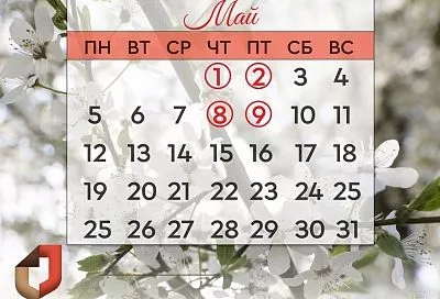 Как будут работать МФЦ в Краснодарском крае в праздничные дни мая