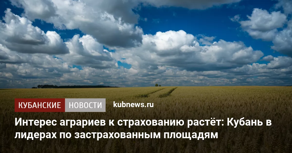 Интерес аграриев к страхованию растёт: Кубань в лидерах по застрахованным площадям