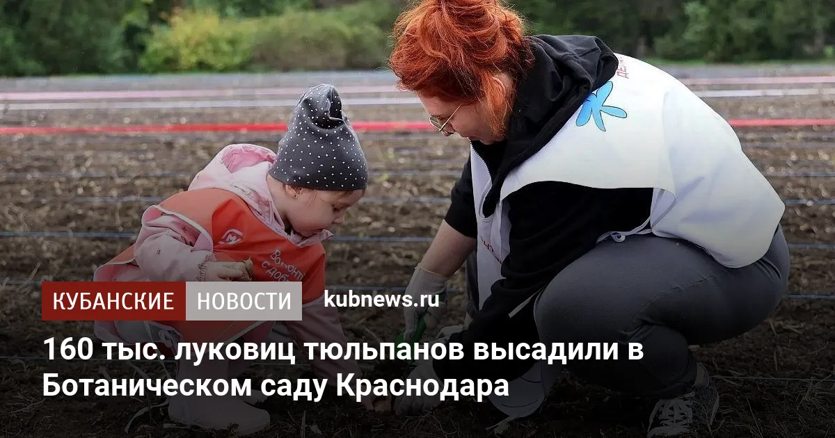 160 тыс. луковиц тюльпанов высадили в Ботаническом саду Краснодара