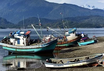 Володин не стал скрывать, сколько рыбы ловили британцы в России до последнего времени