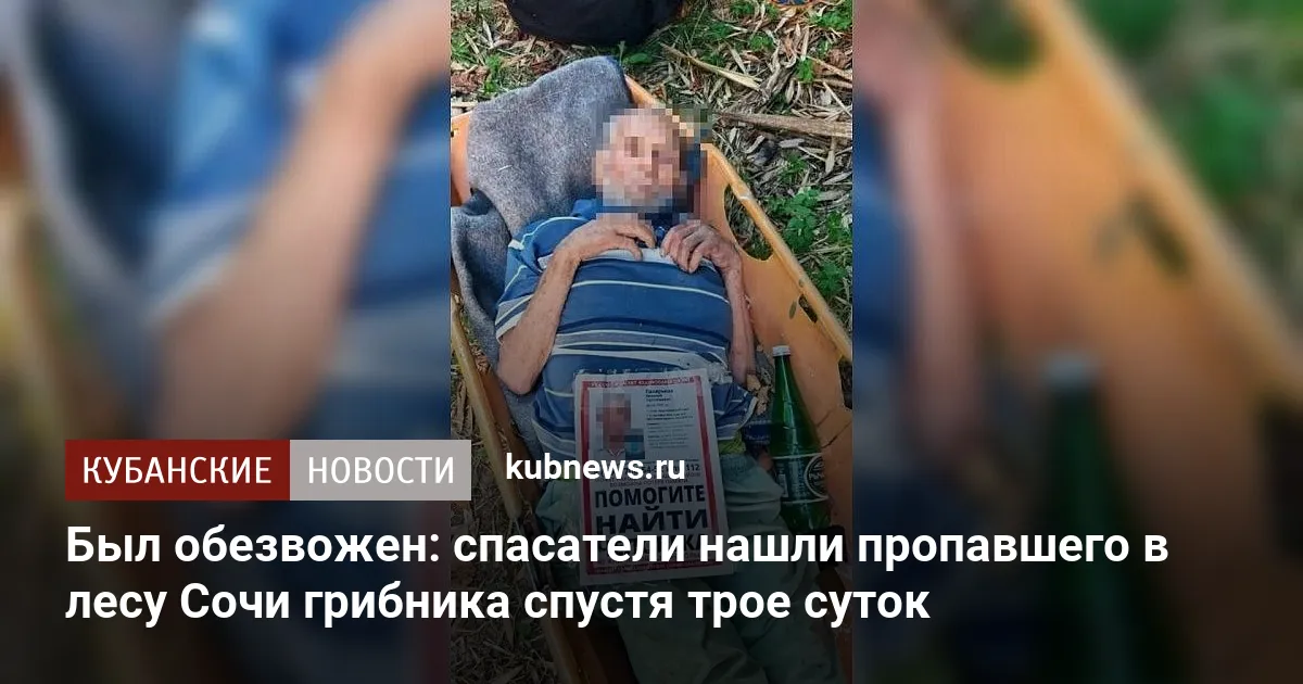 Был обезвожен: спасатели нашли пропавшего в лесу Сочи грибника спустя трое суток