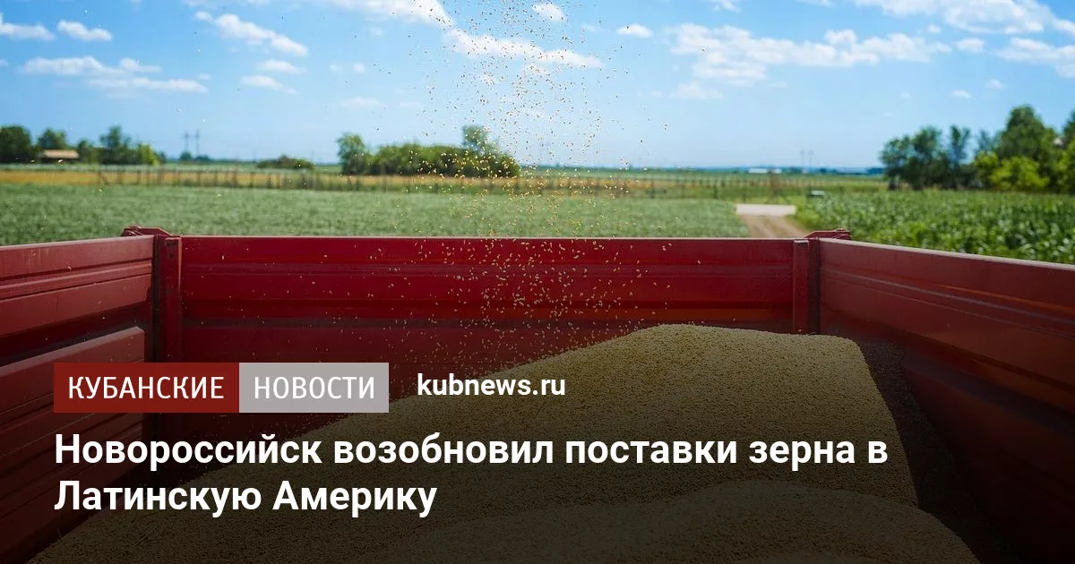 Новороссийск возобновил поставки зерна в Латинскую Америку