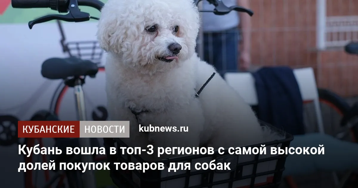 Кубань вошла в топ-3 регионов с самой высокой долей покупок товаров для собак