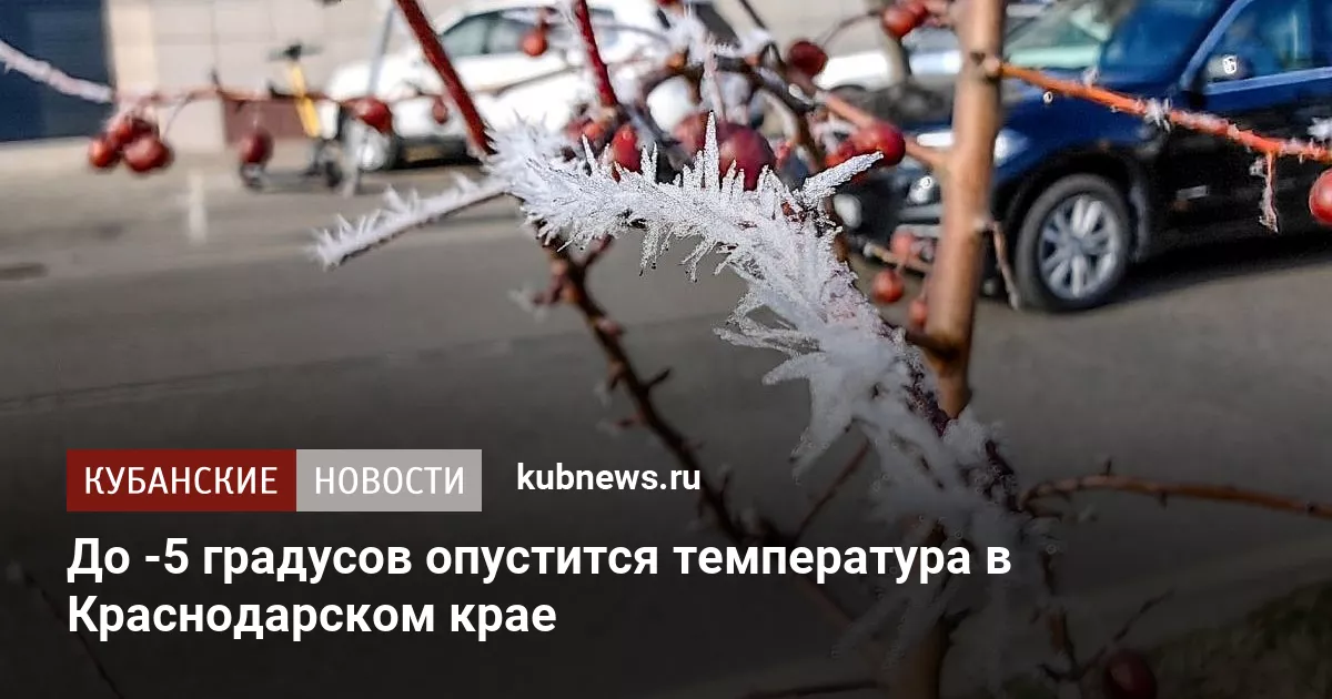 До -5 градусов опустится температура в Краснодарском крае