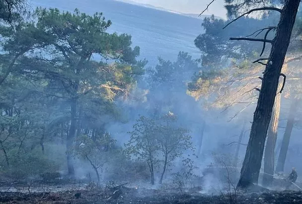Площадь лесного пожара под Геленджиком увеличилась до 2,2 га