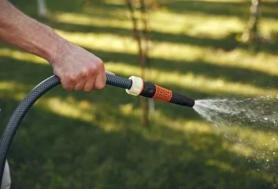 В Армавире рекомендовали поливать участки ночью для экономии воды и снижения нагрузки на сети