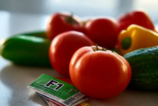 Почему гибриды томатов могут менять вкус при сборе своих семян