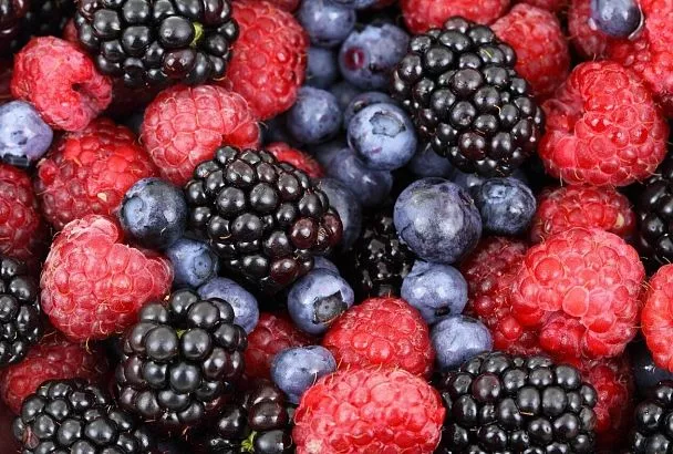 Эти продукты помогут не только абитуриентам собраться перед поступлением, но и их тревожным родителям - перестать паниковать