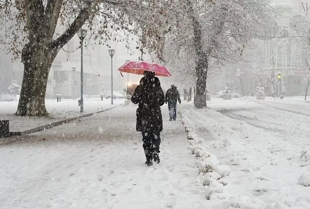 Метеоролог рассказала, какой будет зима на Юге России