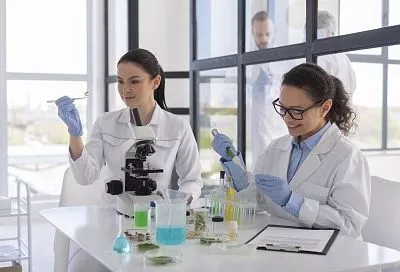 Новый метод борьбы с раком создают в университете «Сириус»