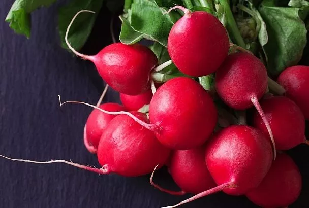 Сажайте редис рядом с кориандром так – и двойной урожай без химии: лайфхак для раннего сева