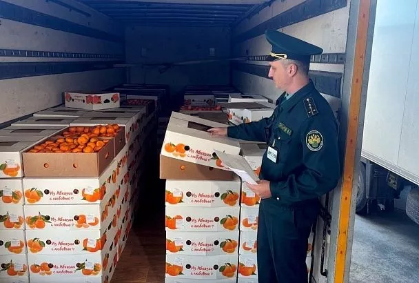 Более 23 тыс. тонн мандаринов ввезли в Россию из Абхазии через Сочи 