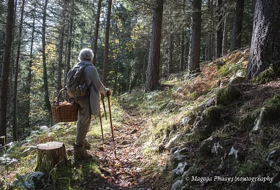 Идти дальше без чудес: тёплый совет опытного грибника, когда сидеть уже не помогает