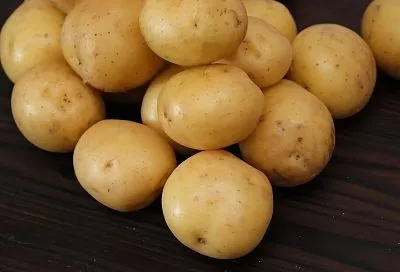 Выращиваю картошку 30 лет и хочу поделиться с вами секретами – устанете вывозить урожай тачками, а клубни будут крупными и ровными