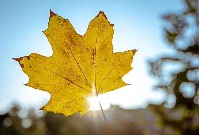 Города и поселки Краснодарского края вошли в топ-10 самых теплых мест России 11 ноября 