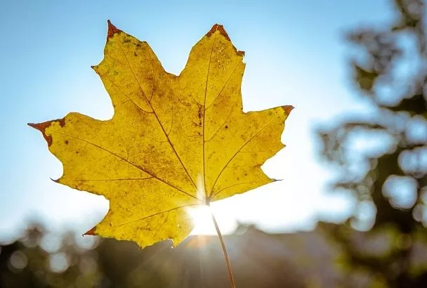 Города и поселки Краснодарского края вошли в топ-10 самых теплых мест России 11 ноября 