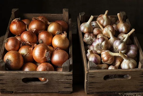 Как хранить лук и чеснок правильно: 3 способа, которые сохранят урожай всю зиму