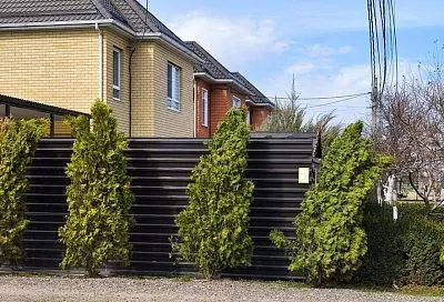 Чтоб была компактной и легкой в уходе: какую тую посадить начинающему садоводу