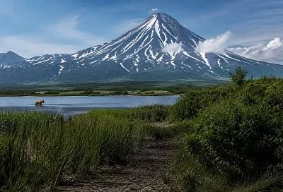 Два землетрясения у берегов Камчатки: объявлена угроза подхода волны