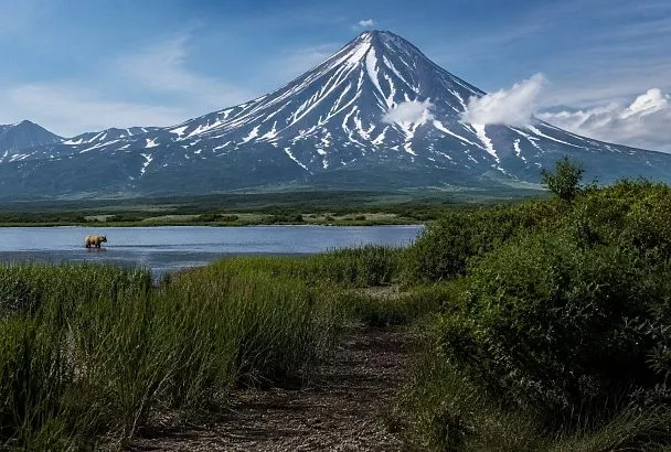 Два землетрясения у берегов Камчатки: объявлена угроза подхода волны