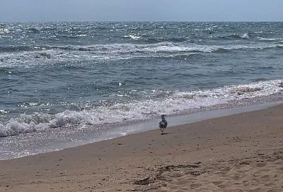 В Госдуме обсудят поддержку турбизнеса Анапы по итогам сезона