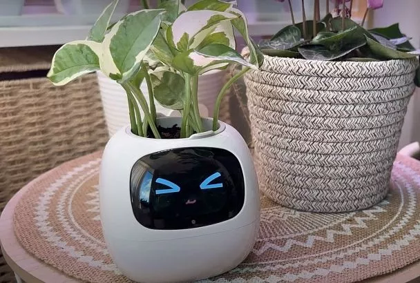 Беру умные горшки — и в них цветы цветут всё лето: обзор ТОП-3 моделей 2025