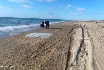 Новые выбросы мазута на пляжах Анапы и Темрюкского района за неделю не обнаружены