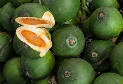 Опасная мода зумеров: токсиколог рассказал, чем грозит жевание бетельного ореха