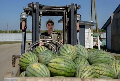 Кубанские фермеры увеличивают площади орошаемых земель