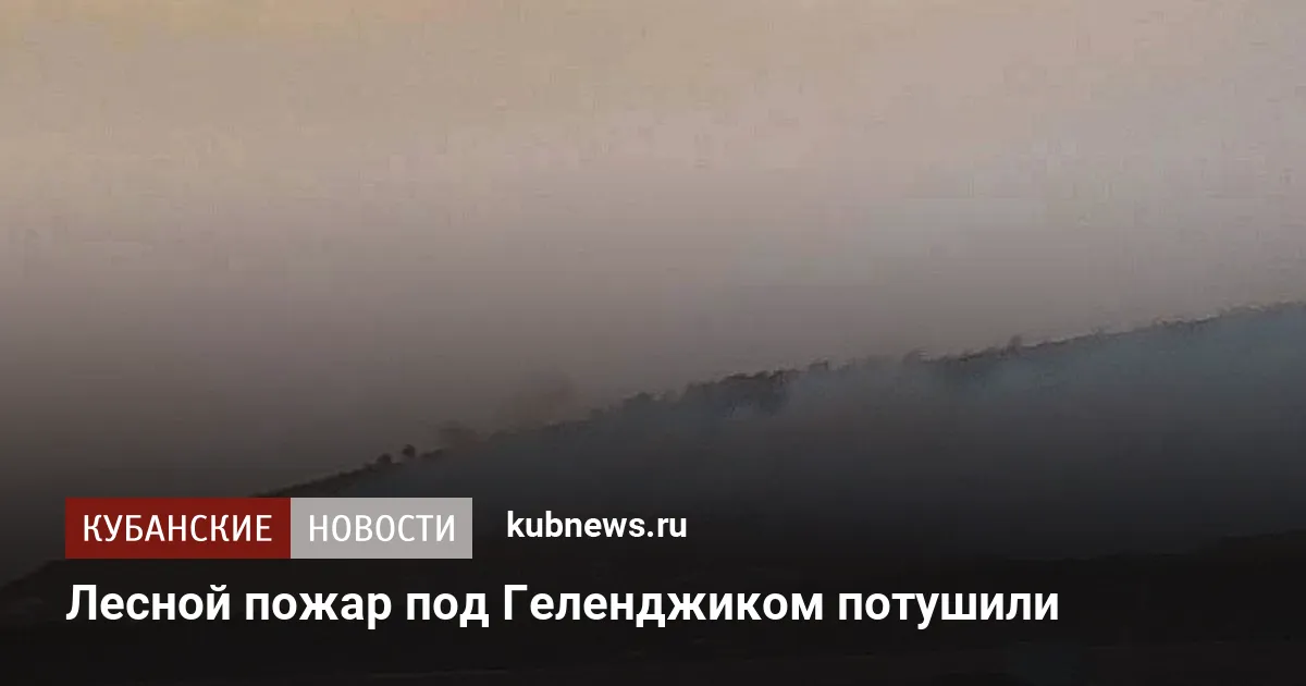 Лесной пожар под Геленджиком потушили
