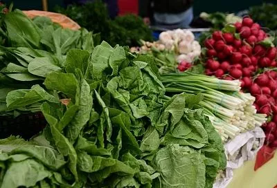 За свежим сыром и ароматной зеленью - к местным фермерам: где будут работать ярмарки выходного дня в Краснодаре 28 марта