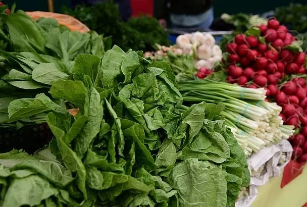 За свежим сыром и ароматной зеленью - к местным фермерам: где будут работать ярмарки выходного дня в Краснодаре 28 марта