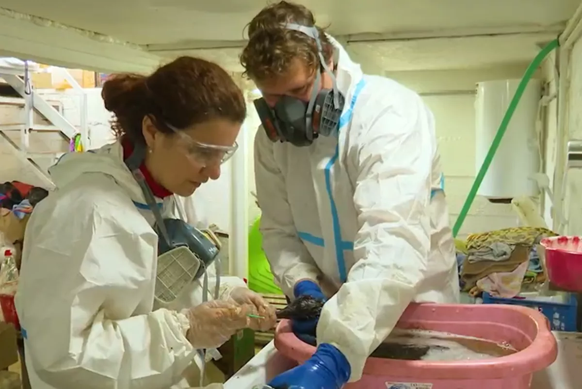 В реабилитационном центре под Анапой продолжают помогать птицам