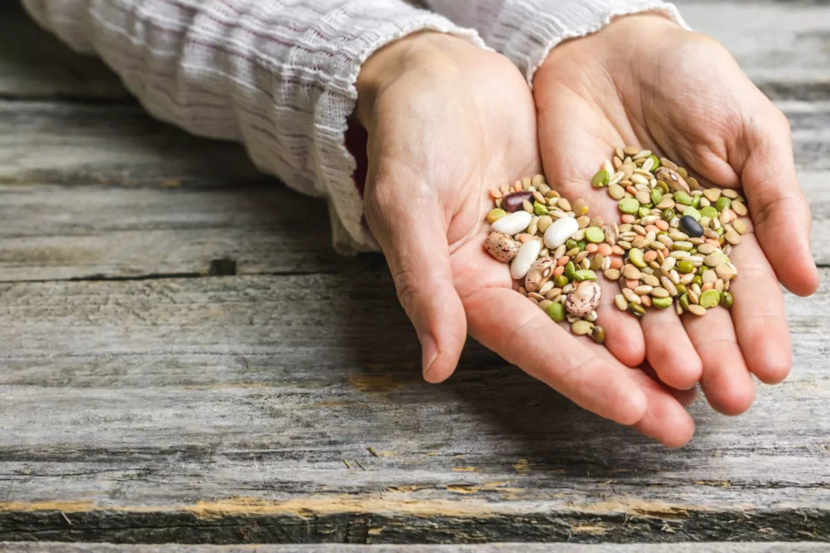 Импорт семян в Краснодарский край сократился на 41% в 2025 году