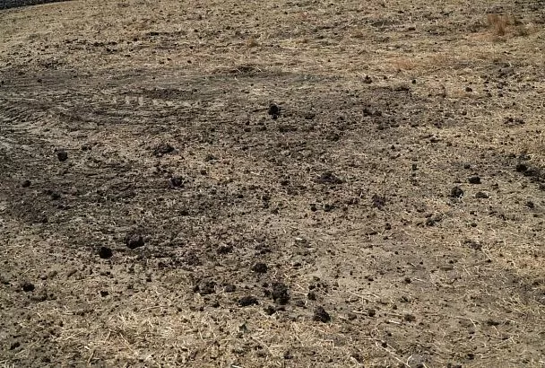 Власти Крымска объяснили неприятный запах в городе внесением удобрений 