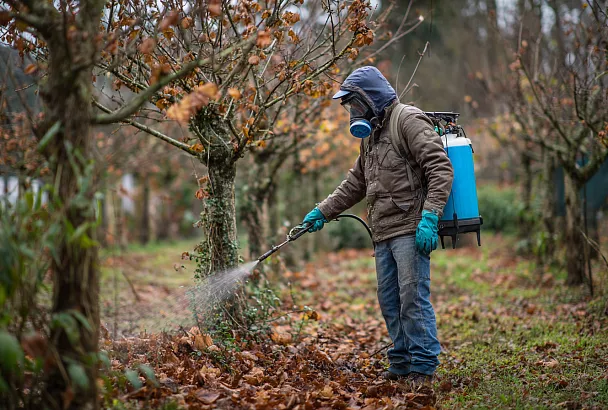 Искореняющая обработка сада в октябре: что реально работает и как не навредить