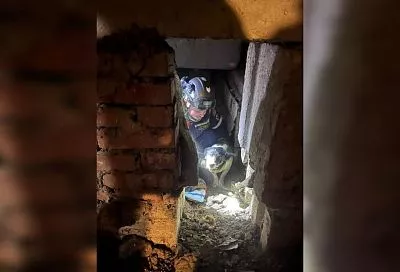 В Новороссийске спасли застрявшую в подвале под лестницей собаку