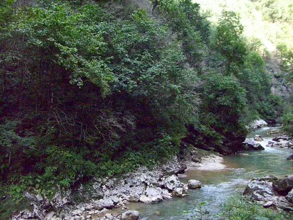 Речка Гуамка