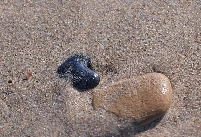 Российские ученые создали ПО для обнаружения остатков мазута в Черном море