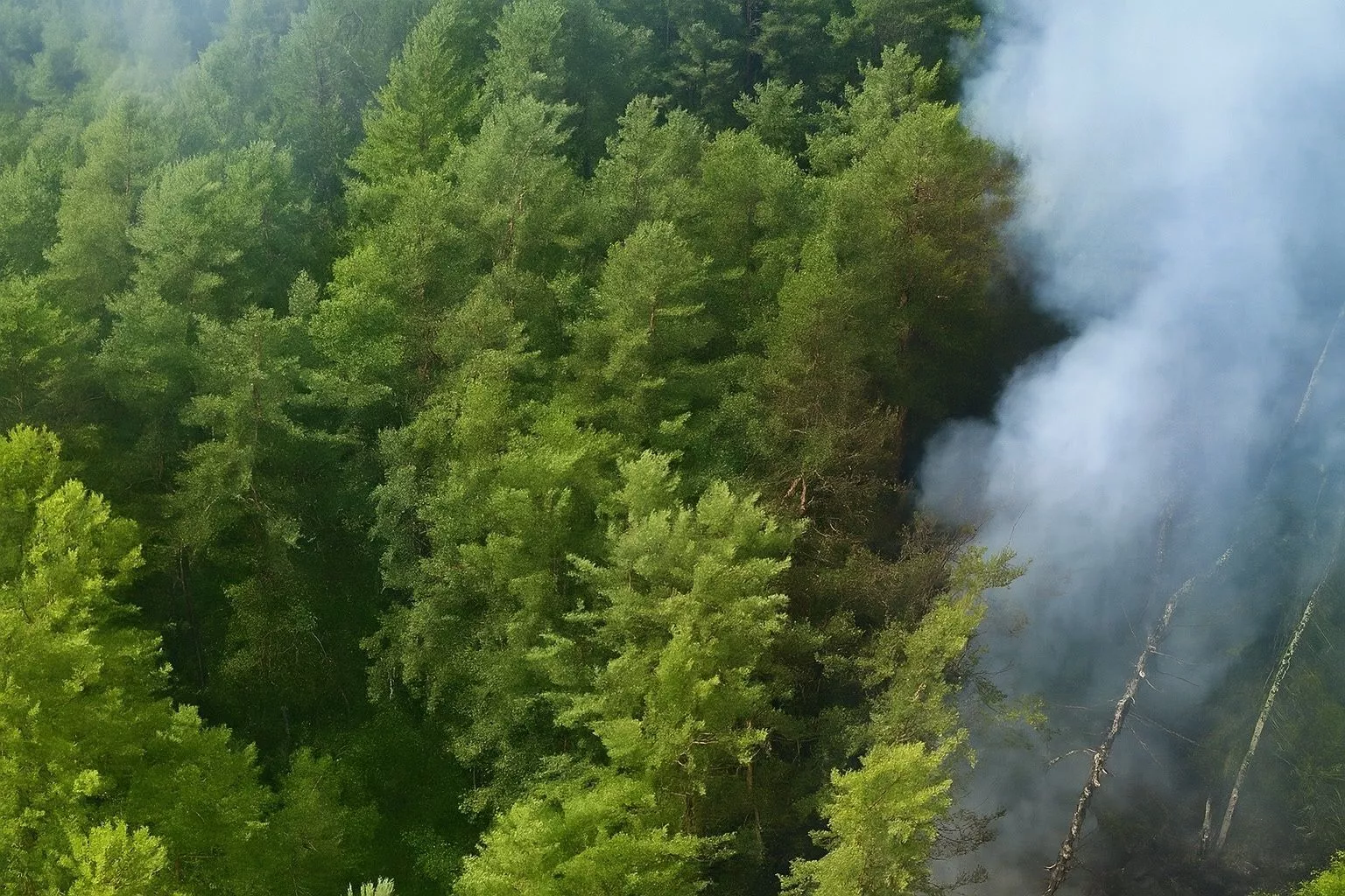 Озвучены возможные причины крушения пассажирского самолета в Приамурье 