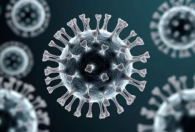 Роспотребнадзор: в России последние 12 недель доминирует вариант коронавируса XFG (Stratus)