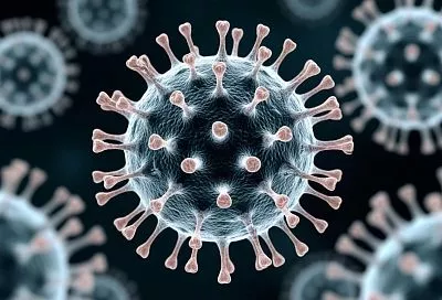 Комариный вирус из отпуска: в Роспотребнадзоре напомнили о рисках лихорадки чикунгунья