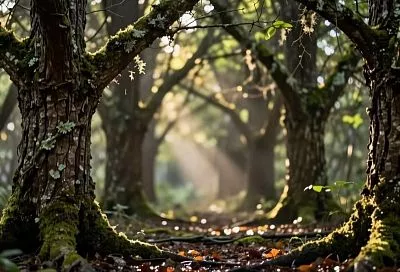 Март 2026 года может стать самым тёплым в истории метеонаблюдений в России