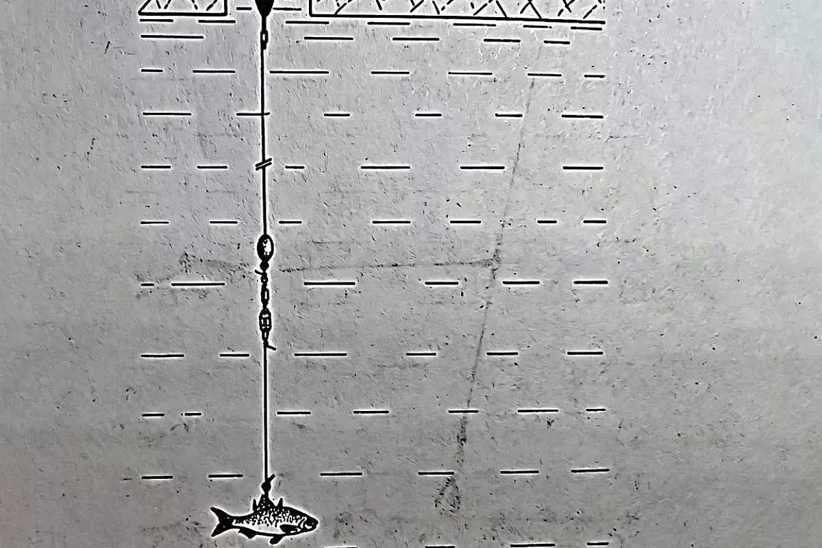 Щука на живца: секрет зимней оснастки для ловли пассивного хищника