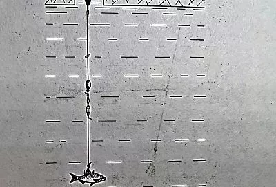 Щука на живца: секрет зимней оснастки для ловли пассивного хищника