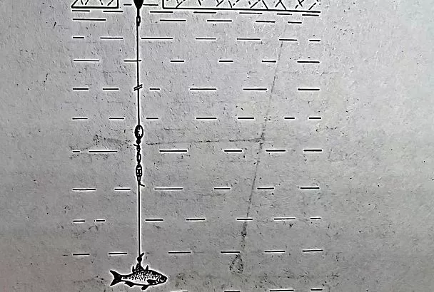 Щука на живца: секрет зимней оснастки для ловли пассивного хищника