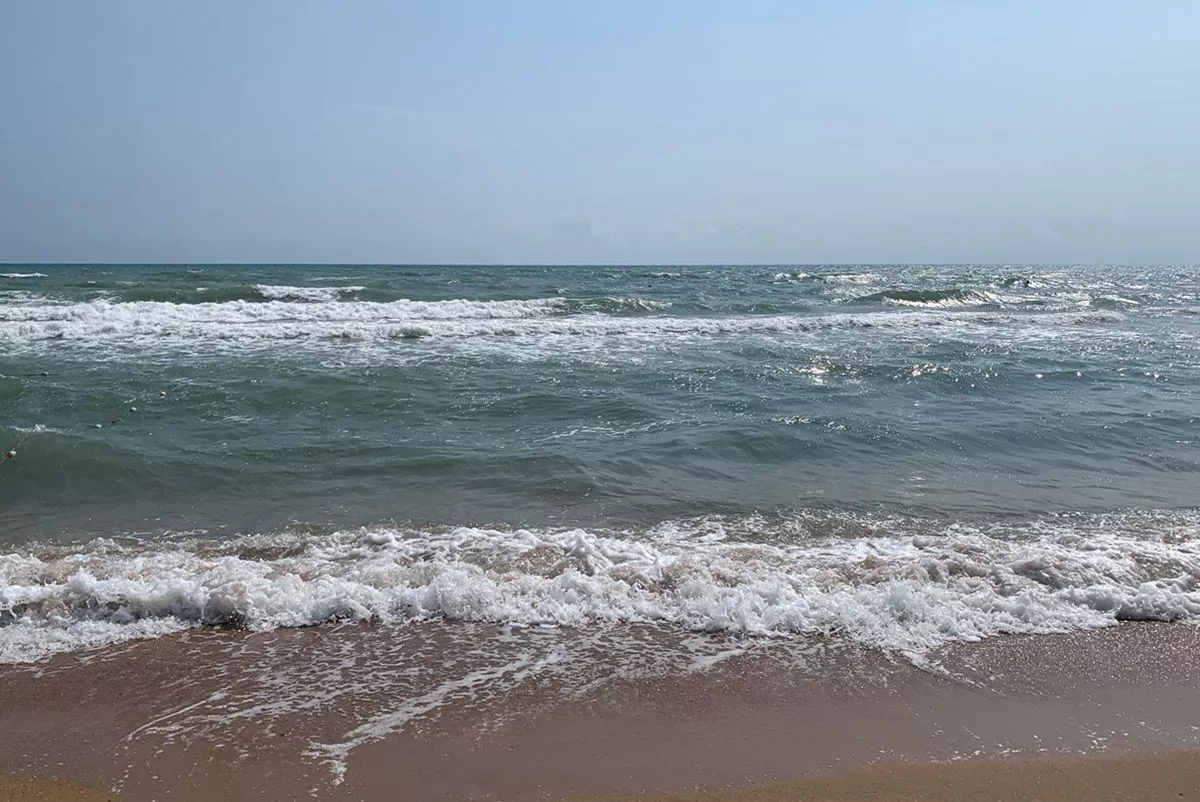 Ученые оценят состояние экосистем Черного моря перед началом летнего сезона