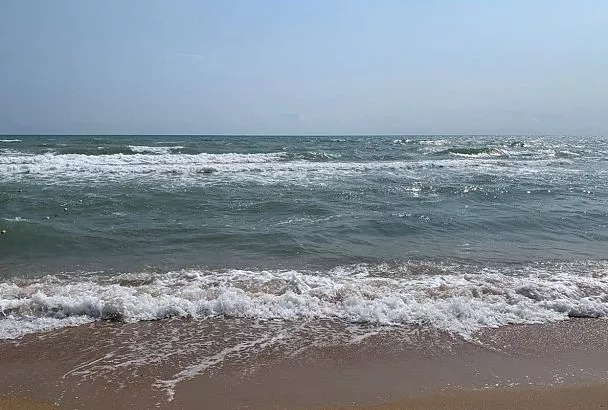 Ученые оценят состояние экосистем Черного моря перед началом летнего сезона